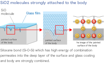 SiO2 molecules strongly attached to the body